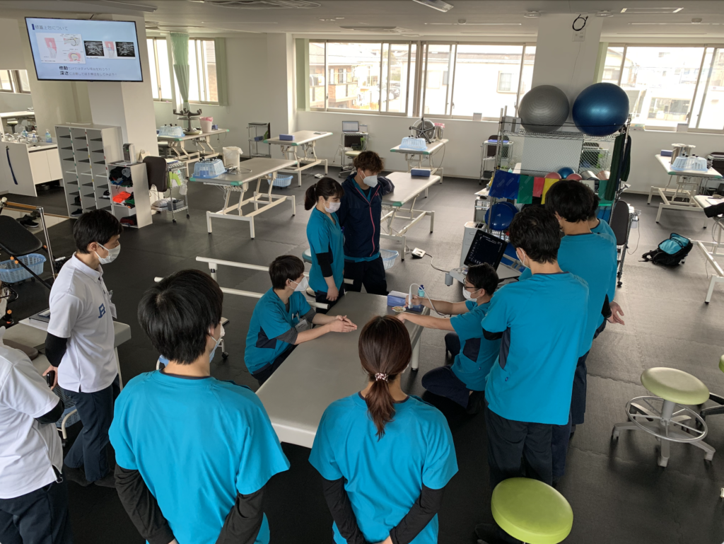 静岡市の整形外科で運動器エコーの勉強会をしている様子